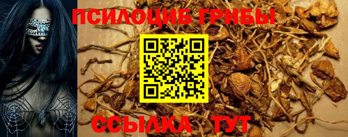 Галлюциногенные грибы прущие грибы Сургут