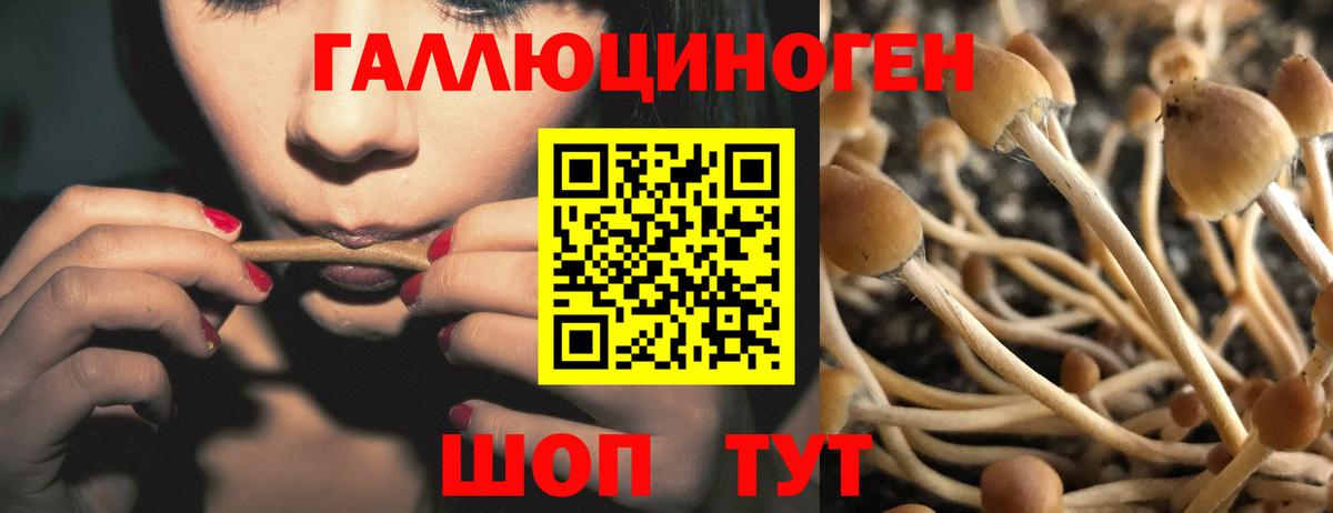 Сургут  Псилоцибиновые грибы GOLDEN TEACHER  Галлюциногенные грибы прущие грибы  Вход с VPN 