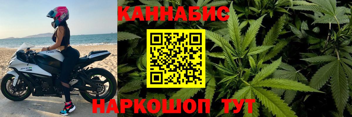 Конопля сатива Сургут